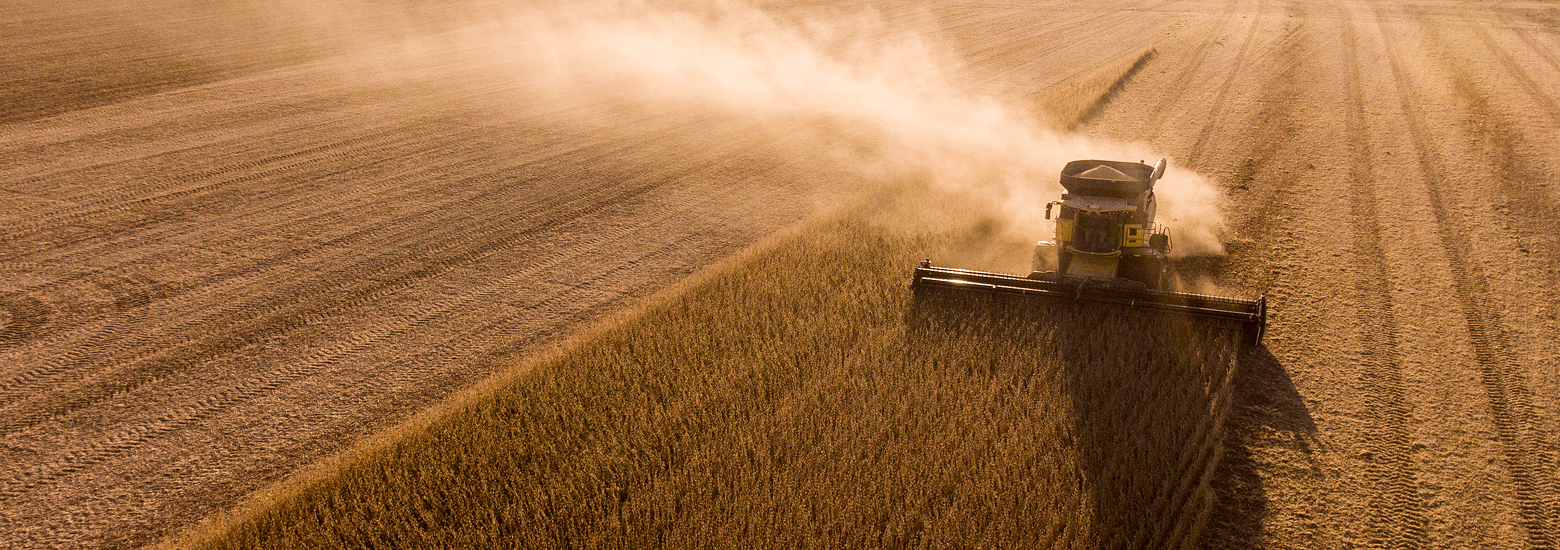 Jenan by Al Ghurair – harvesting wheat for responsibly produced food products